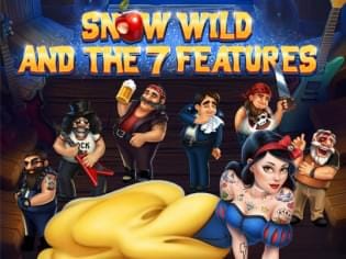 Snow Wild And The 7 Features screenshot
