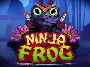 Ninja Frog screenshot